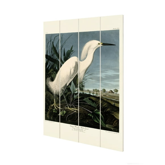 John James Audubon Snowy Heron Wood Plaque