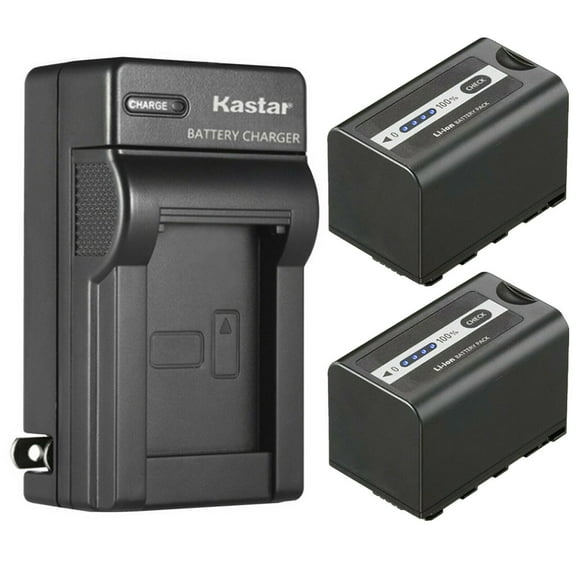 Kastar 2-Pack Battery and AC Wall Charger Replacement for Panasonic AG-VBR59, AG-VBR89G, AG-VBR118G Battery, Lumix BGH1 Cinema 4K Box Camera, Lumix BS1H Full-Frame Box-Style Live & Cinema Camera