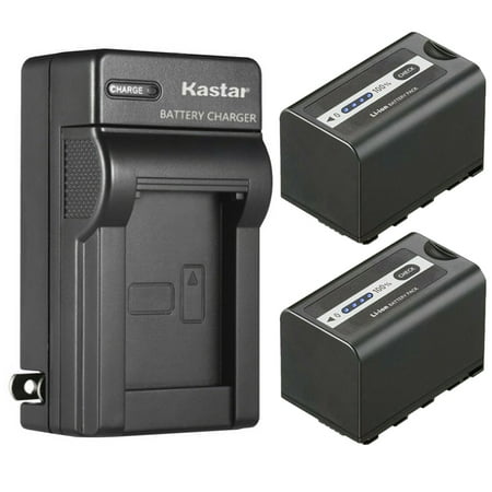 Kastar 2-Pack Battery and AC Wall Charger Replacement for Panasonic AG-DVX200ED, AJ-PCS060, AJ-PX230, AJ-PX270, AJ-PX270PJ, AJ-PX298, AJ-PX298MC, AJ-UX90, AJ-UX180, HC-X1, HC-X1000, HC-X1500, HC-X2000