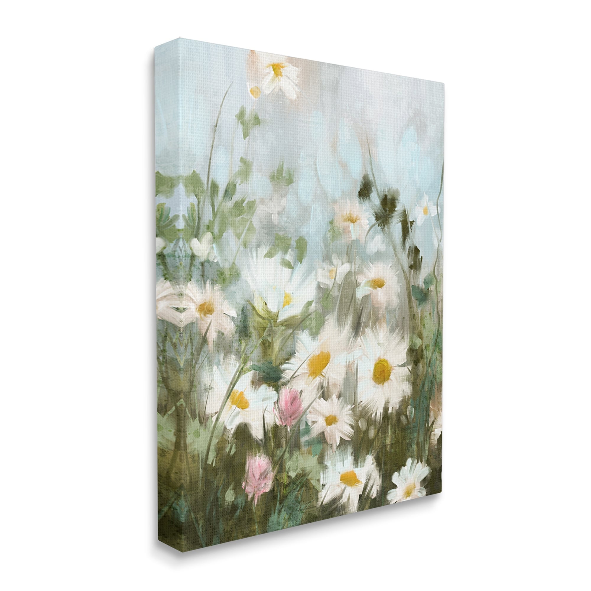 Stupell Industries Wild Daisies Blooming Meadow Botanical & Floral Painting Gallery Wrapped Canvas Print Wall Art