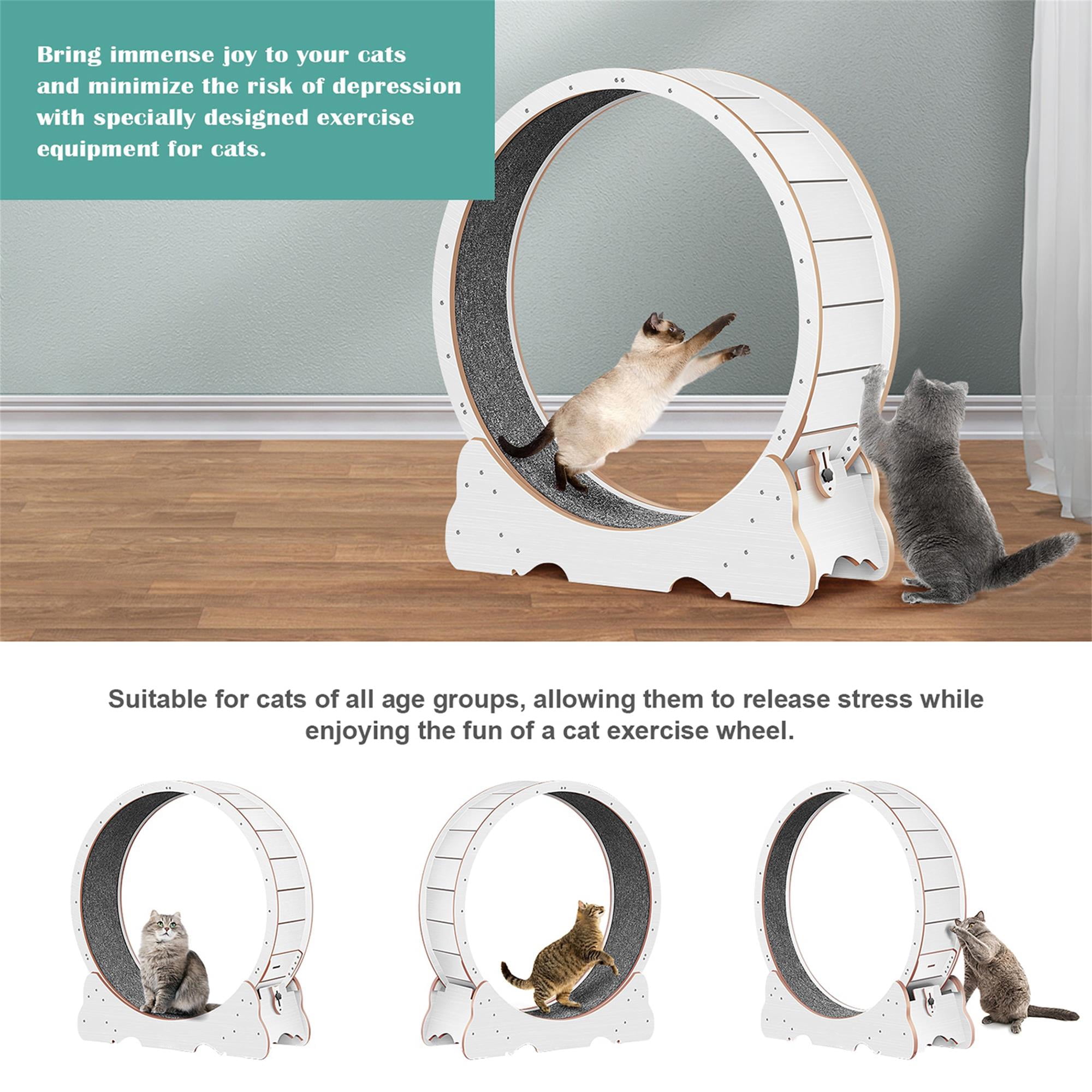 Kadyn 45" Cat Exercise Wheel for Indoor Cats, Large Cat Running Wheels, Cat Treadmill Wheel with Locking Mechanism for Cat's Healthy, White