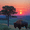 Sunset Bison Landscape Canvas Art, variant on Qisvanset 12x16 Inch Framed Canvas Wall Art Casino Gambling Bear Funny Anthropomorphic Vintage Wall Decor