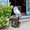thumbnail image 3 of koolsoo Owl Statue Solar Light Decoration Figurines for Pathway Indoor Outdoor Landscape, 3 of 7