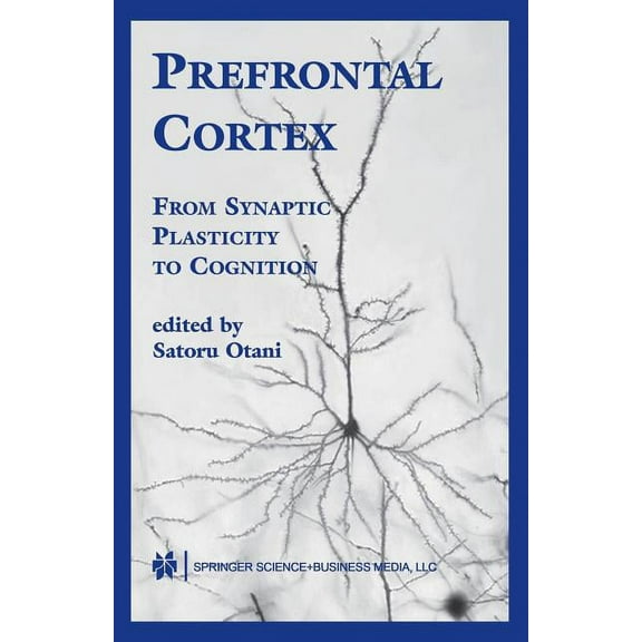 Prefrontal Cortex: From Synaptic Plasticity to Cognition, (Paperback)