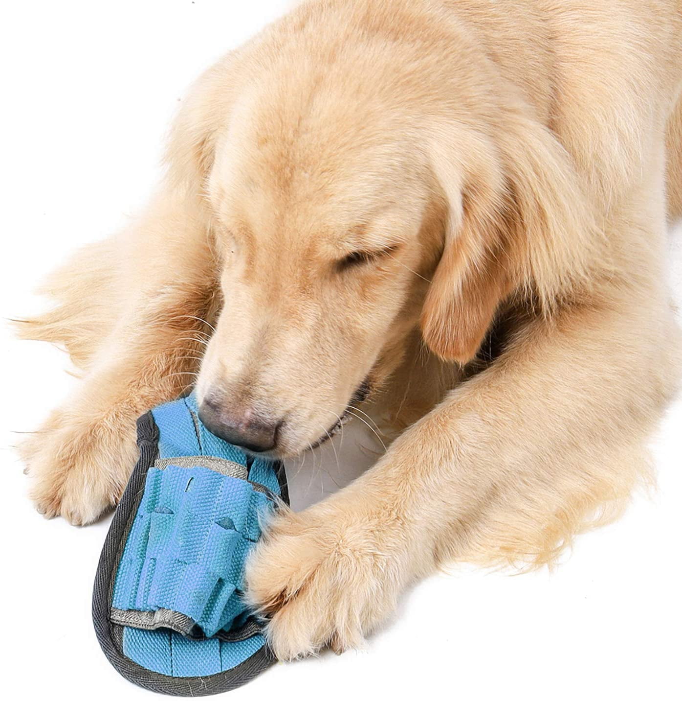 Dog Snuffle Slipper Interactive Puppy Sniffing Chew Toys Pet Nose Work