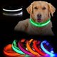 thumbnail image 1 of Collar de perro LED recargable / Reflex y collar para perro Gre, 1 of 4