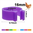 thumbnail image 4 of 160 Bandas para Patas de Pollo de 16 mm con 8 Colores, Coloridas Bandas para Patas de Identificación de Pollo Numeradas 01-80, Etiqueta para Patas de de Corral y Pato, 4 of 8