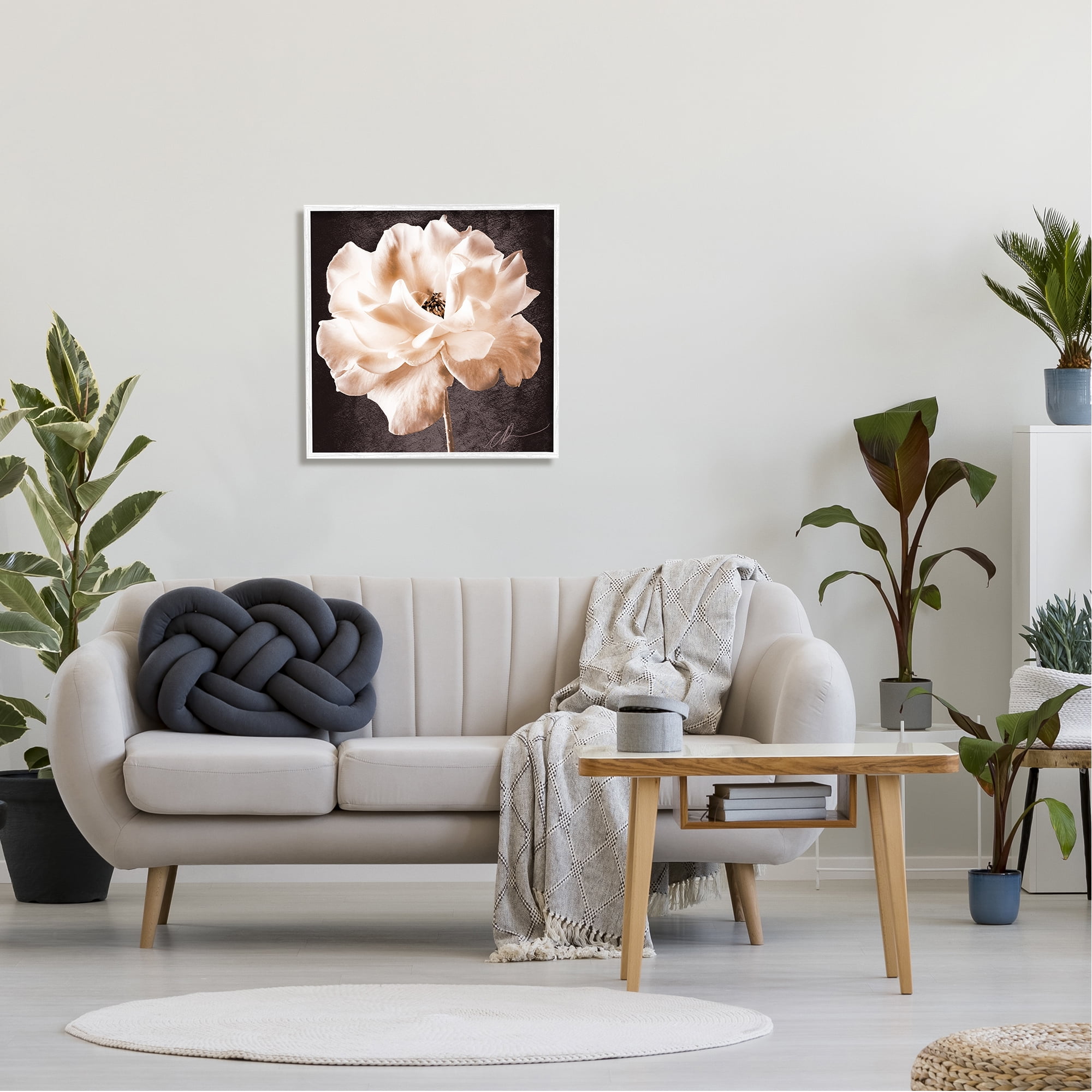 Stupell Industries Vintage Rose Photography Botanical & Floral Painting White Framed Art Print Wall Art, 24 x 24