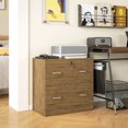 thumbnail image 2 of Vinsetto Filing Cabinet with 2 Drawers File Cabinet with Lock Light Brown, 2 of 10