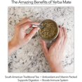 thumbnail image 4 of Yerba Mate Gourd Cup Stainless Steel Tea Cup Insulation Cup, 4 of 6