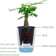 thumbnail image 2 of Dsseng 8 Pack Self Watering Pots with Inner Pot - White Self Watering Plastic Planter - African Violet Small Plant Pots Decorative, 2 of 5