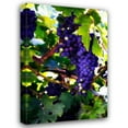 thumbnail image 1 of Alan Hausenflock 23x32 Gallery Wrapped Canvas Wall Art Titled - Grapes II, 1 of 4