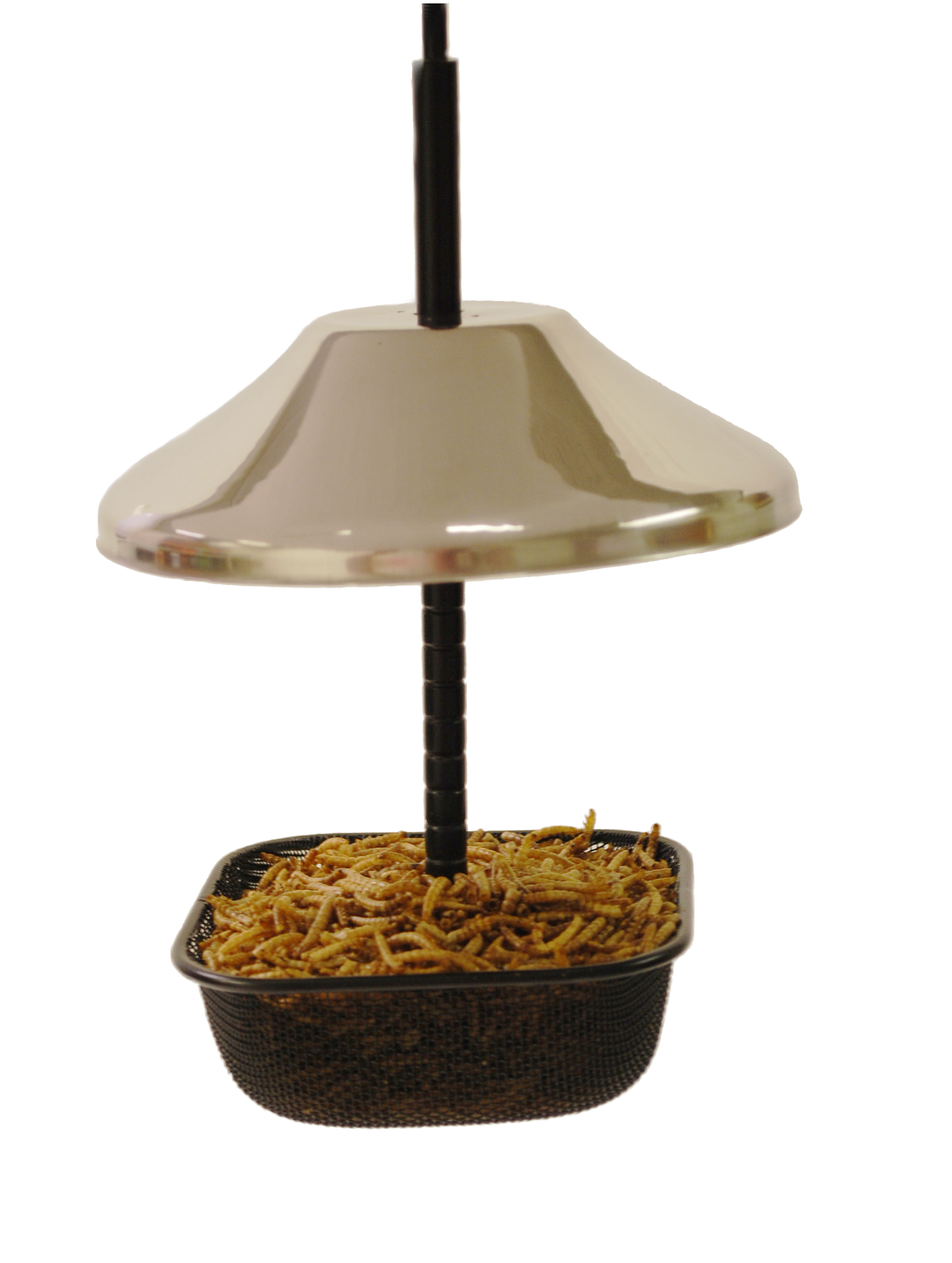 thumbnail image 2 of Wildlife 313889 7 oz Pouch Dried Mealworm Mp6 Wild Bird Food, 2 of 4