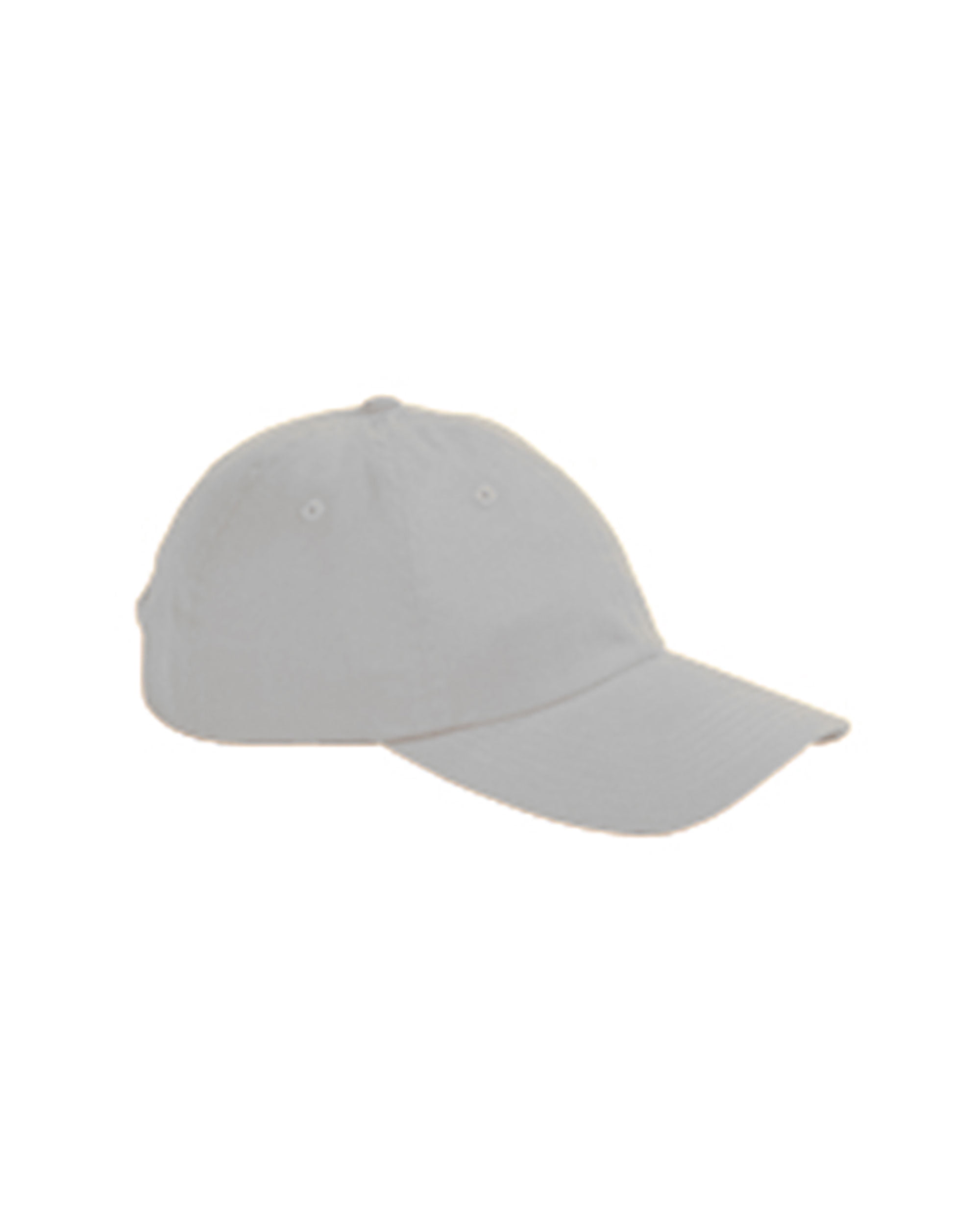Panel Brushed Twill Cap 