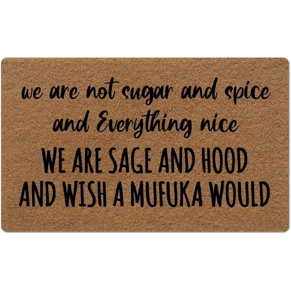 We are Not Sugar and Spice and Everything Nice Mats for Front Door Entry Front Porch Doormat Non-Slip Carpet Rugs Floor Mat Decorative for Home Bathroom Kitchen Indoor 16x24 Inch