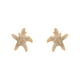 thumbnail image 1 of Aretes Broquel Dama Estrella de Mar C/ Swarovski Oro 18K Lam dorado Unitalla, 1 of 7