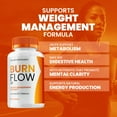 thumbnail image 3 of Burn Flow Keto Capsules – BurnFlow Pills Advanced Formula, Maximum Strength, 2 Pack, 120 Capsules, 3 of 6