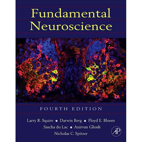 Fundamental Neuroscience, (Hardcover)