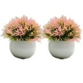 thumbnail image 1 of Plantas de simulación Wosthever 2 uds en maceta de plástico rosa, 1 of 6