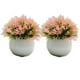 thumbnail image 1 of Plantas de simulación Wosthever 2 uds en maceta de plástico rosa, 1 of 6