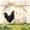White Mustard, variant on Erosebridal Rooster Twin Quilt Set for Boys Girls, Sunflower Garden Twin Coverlet Set, 2-Piece 1 Bedspread and 1 Pillowcase