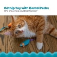 thumbnail image 2 of Catstages Catnip Chew Mice 2 Pack– Interactive Dental Cat Chew Toy that Helps Clean Teeth, Mouse, Multicolored, 2 of 7