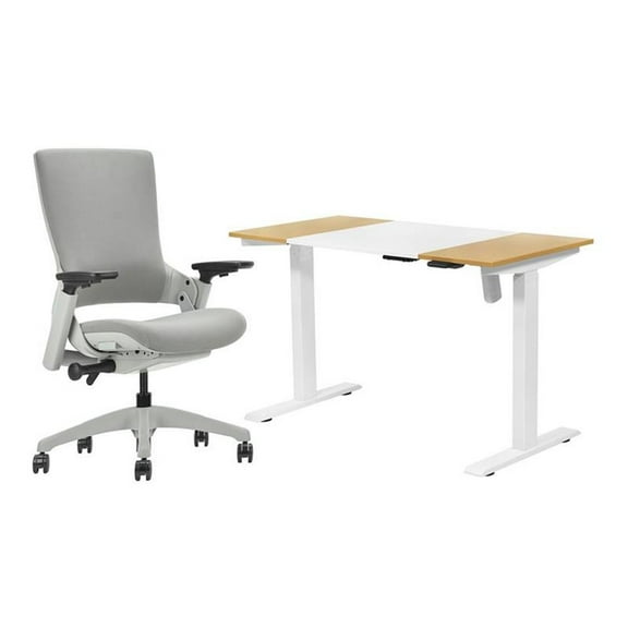 Furniture of America Tilah Modern Metal 2-Piece Desk and Chair Set in White