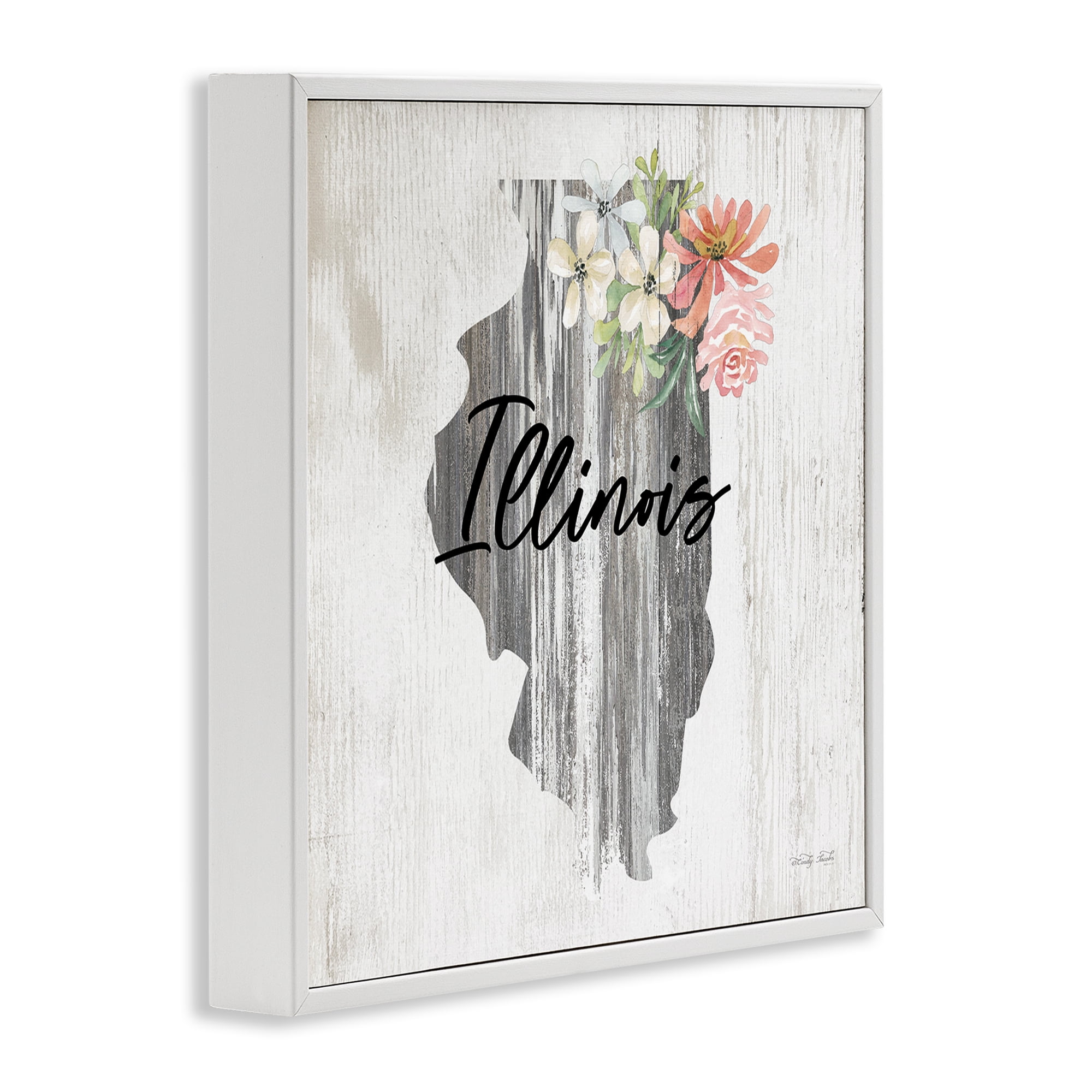 Stupell Industries Shabby Chic Illinois Botanical & Floral Painting White Framed Art Print Wall Art, 24 x 24