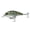 Baby Crappie, variant on 6th Sense – Cloud 9 Magnum Silent Squarebill Bass Fishing Lure, 5–10ft Diving Crankbait