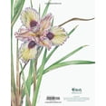 thumbnail image 2 of RHS Botanical Illustration : The Gold Medal Winners (Hardcover), 2 of 2