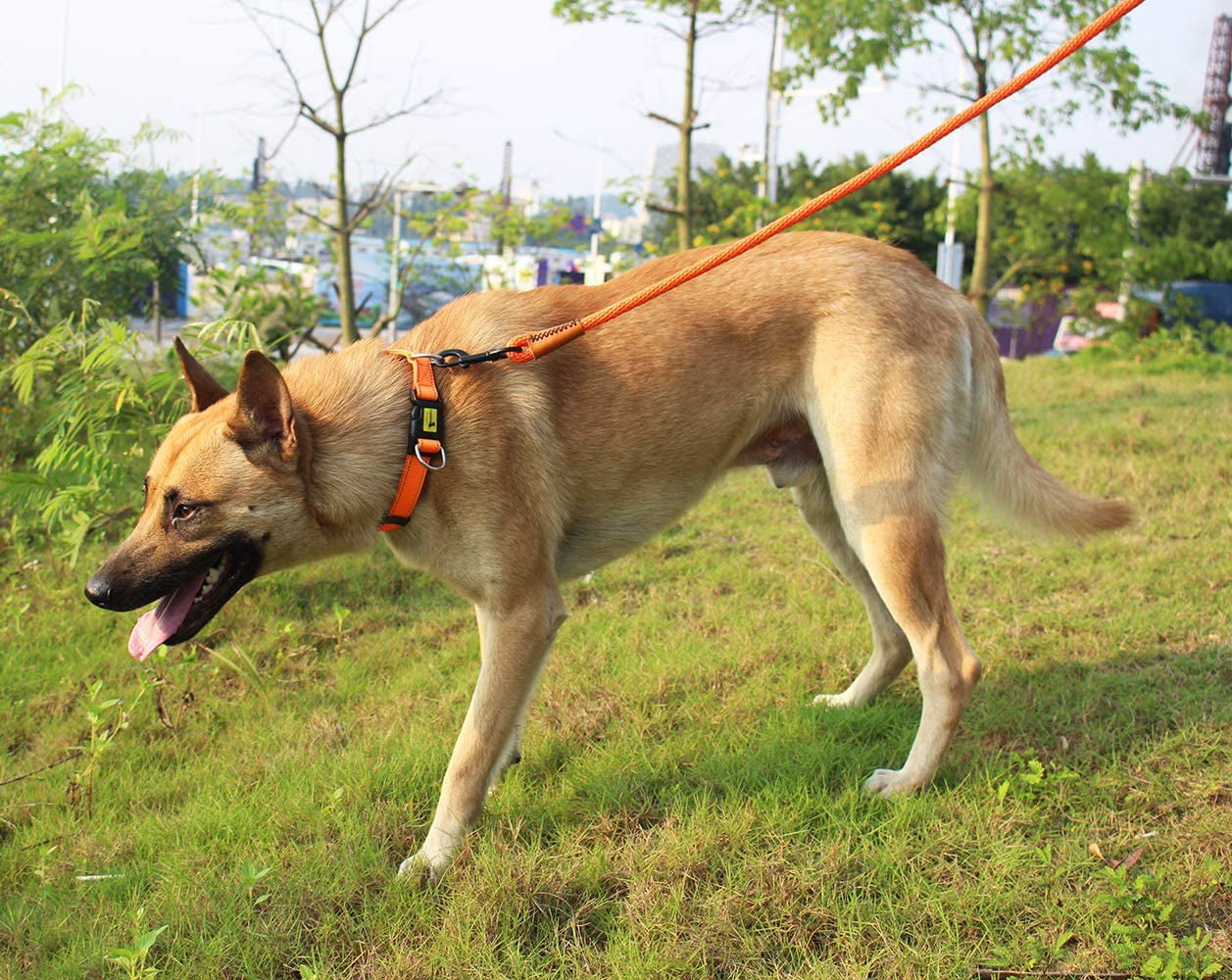 lynxking Braided Dog Rope Pet Leash Dog Traction Rope Leashes Dog Walking Training Lead for Medium Large Dogs