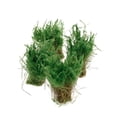 thumbnail image 1 of Maqueta de Tren Baoblaze 4 Piezas Plantas Acuáticas Verde, 1 of 7