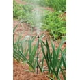 thumbnail image 2 of Rain Bird MIST-F/2S Drip Irrigation 10-32 Threaded Mister, Adjustable 360 Full Circle Pattern, 0 - 1.5' Spray Distance, 2-Pack, 2 of 4