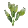 thumbnail image 2 of Melrose Set of 6 Poppy Pod Flower Artificial Bundles 9.5", 2 of 3