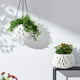 thumbnail image 4 of PEIBang Flower Pot Hanging Baskets with Drainage Holes and Chain,Garden Hanging Planter for Indoor Outdoor Plants, 4 of 6
