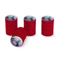 thumbnail image 1 of Hummingbird Crowned Woodnymph Purple Violet Tire Rim Wheel Aluminum Valve Stem Caps - Red, 1 of 3