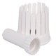 thumbnail image 1 of Juego para hacer flores de cebolla, juego de cebollas florecientes blancas todo en uno con descorazonador (1 unidad, blanco), 1 of 5