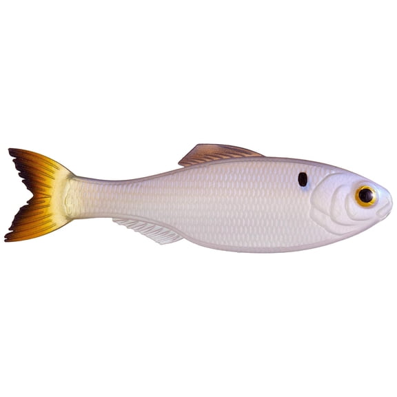 6th Sense – Panorama 5.0 Soft Swimbait – Bass & Crappie Fishing Lure