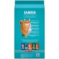 IAMS Proactive Health Chicken and Turkey Dry Cat Food, 22 lb Bag