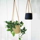 thumbnail image 5 of Macetero colgante de pared, cesta colgante pequeña for plantas, macetero colgante for balcón, macetero colgante for orquídeas, 5 of 8