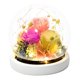 thumbnail image 1 of Decoración de flores eternas, rosa más cubierta de cristal de hortensia con luces, regalos navideños, regalos de cumpleaños para familiares y amigos, 1 of 5