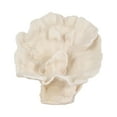 thumbnail image 6 of Coral Fan Figurine for Home and Office Table Decor - Coastal Resin Sculpture for Bathroom Counter, Shelf, and Entryway Display -  Ocean-Inspired Display for Mantel and Console Styling - 12", Ivory, 6 of 12