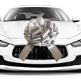 thumbnail image 1 of Arco para coche HQJAXJ de 20 pulgadas, gigante, plateado metalizado, impermeable, 1 of 5