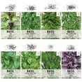 thumbnail image 4 of Seed Needs, culinary Basil Herb Seed Packet collection (8 Individual Basil Seed Varieties for Planting) Non-gMO Untreated, 4 of 4