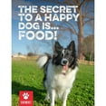 thumbnail image 6 of Scout & Zoe's: Hare For The Dog Rabbit Jerky - Pet Treats, Single Ingredient Canine Chews, Snack & Reward Protein Bites, No Preservatives,Sourced, 6 of 9