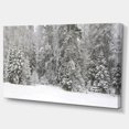 thumbnail image 2 of Panorama de Forêt d'Hiver Brumeuse - Impression sur Toile Paysage, 2 of 3
