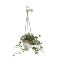 thumbnail image 1 of Creative Co-op Medium White Stoneware Hanging Planter with Jute Rope, 1 of 1