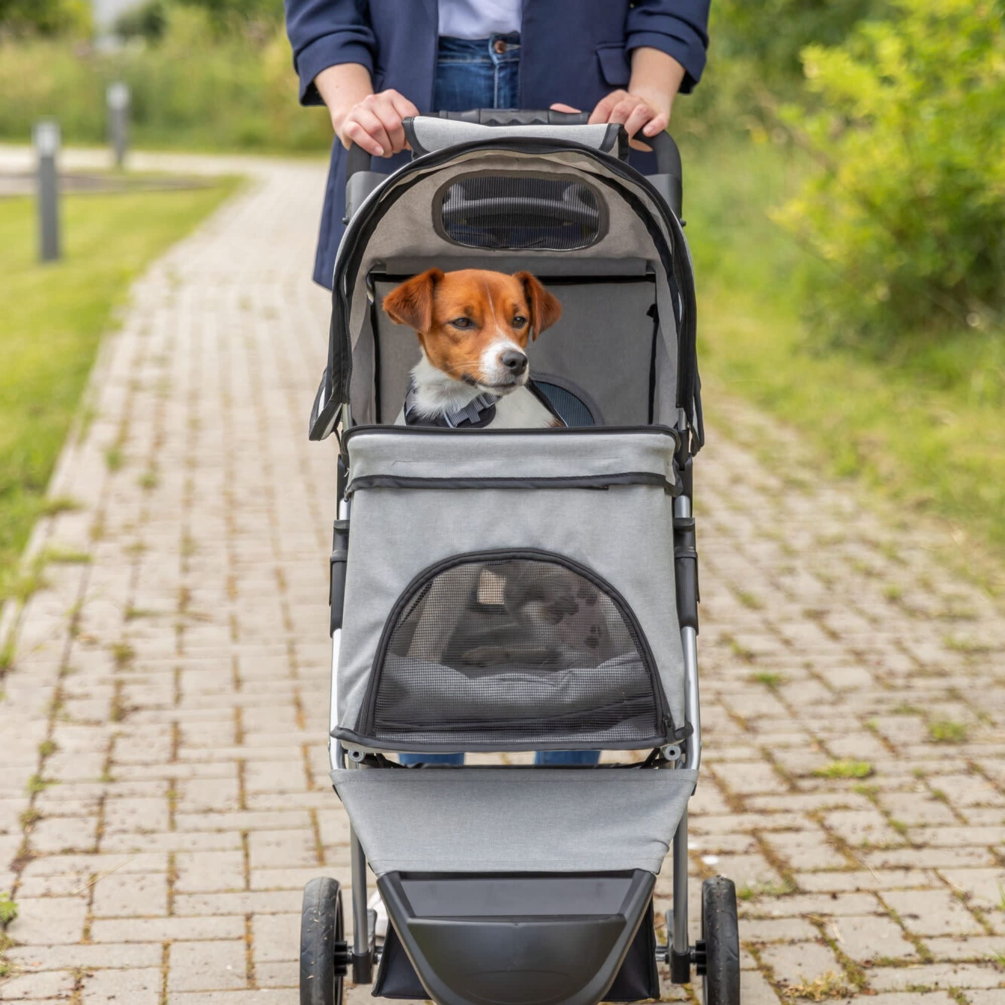 TRIXIE 3-Wheeled Foldable Dog & Cat Stroller with Canopy and Storage Compartments, Gray