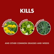 Spectracide Weed & Grass Killer Refill for AccuShot Sprayer, 1 Gallon