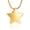 Gold, variant on Little Star Urn Necklace for Ashes Holder Cremation Urn Jewelry for Memorial Urn Necklace for Women Men